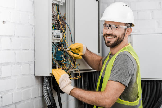 Best Electric Panel Repair  in Oelwein, IA